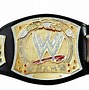 Image result for WWE Spinner Championship Title Belt