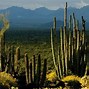 Image result for Arizona Scenery