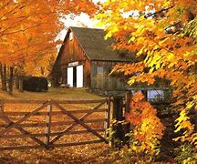 Image result for Fall Autumn Wallpaper 800X600