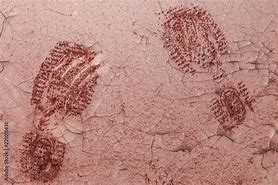 Image result for Bloody Shoe Print On Floor