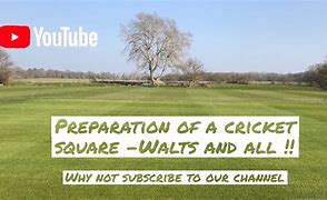 Image result for Keep Off Square Cricket