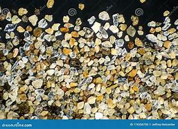 Image result for Grain of Sand Under Microscope