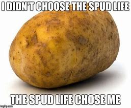 Image result for Potato Wi-Fi Meme