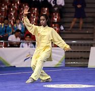 Image result for Wushu