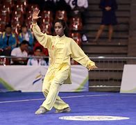 Image result for Wushu India