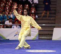 Image result for Wushu Kung Fu