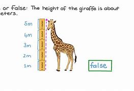 Image result for How Big Is 8 Metres