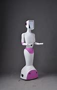 Image result for Smart Robot Waiter