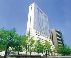 Image result for Hotel Nikko Osaka