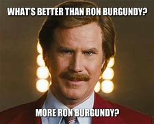 Image result for You Rock Ron Burgundy Meme
