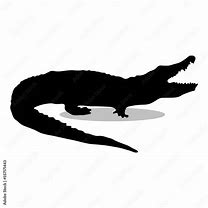 Image result for Crocodile vs Alegator