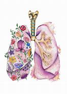 Image result for Pretty Lungs