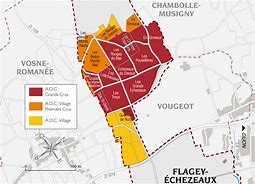 Image result for flagey echézeaux