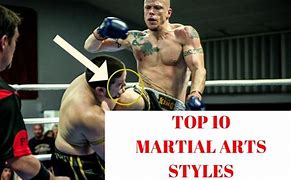 Image result for top ten deadliest fighting styles