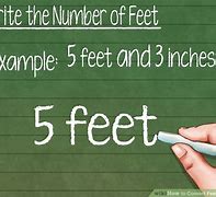 Image result for Feet Inches