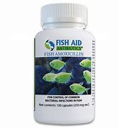 Image result for Fish Mox 250 Mg Amoxicillin