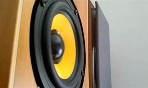 Image result for Kevlar Speaker Cone Bookshelf