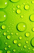 Image result for Lime Green Background