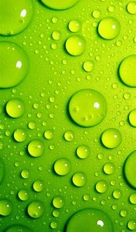 Image result for Lime Green iPhone Wallpaper