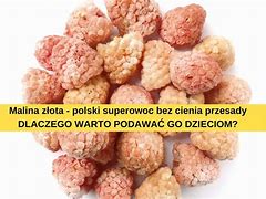 Image result for co_to_znaczy_złota_malina