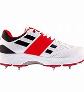 Image result for Spike Sports Shoes