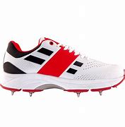 Image result for Shoes for Cricket Players
