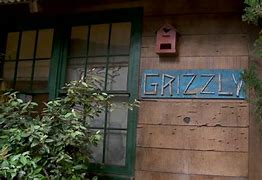 Image result for Bunk'd Grizzly Cabin
