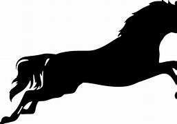 Image result for Horse Jumping Transparent Background