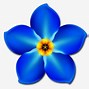 Image result for Forget Me Not Alzheimer Flower