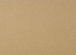 Image result for Tan Plastic Texture