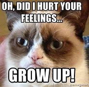 Image result for Grow Up Meme