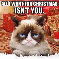 Image result for animated cats holiday memes