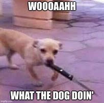 Image result for Broken Dog Meme