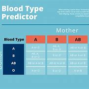Image result for RH Negative Blood Type Pregnancy