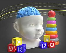 Image result for Brain Growth