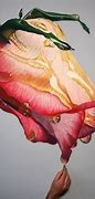 Image result for Creative Oil Pastel