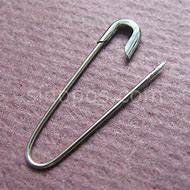 Image result for Oval Long Pin S Shape