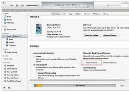 Image result for Backup iPhone 5S