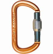 Image result for Small Strong Screw On Carabiner