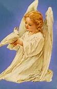 Image result for Angel Anatomy