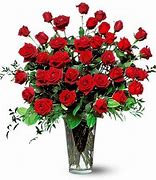 Image result for How Much De Roses Cost