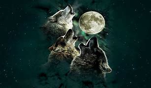 Image result for Three Wolf Moon