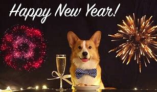 Image result for Happy New Year Corgi