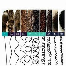 Image result for Difference Between 4B and 4C Hair
