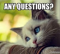 Image result for Ask Any Questions Meme