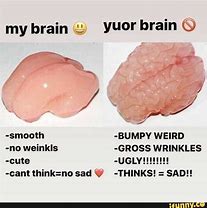 Image result for What's in Your Brain Meme Doawk