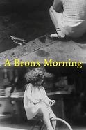 Image result for a bronx morning