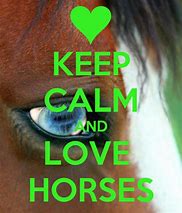 Image result for Keep Calm and Love Riding Horses