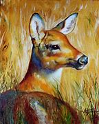 Image result for Deer Jaw Bone Art
