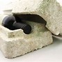 Image result for IKEA Mushroom Packaging